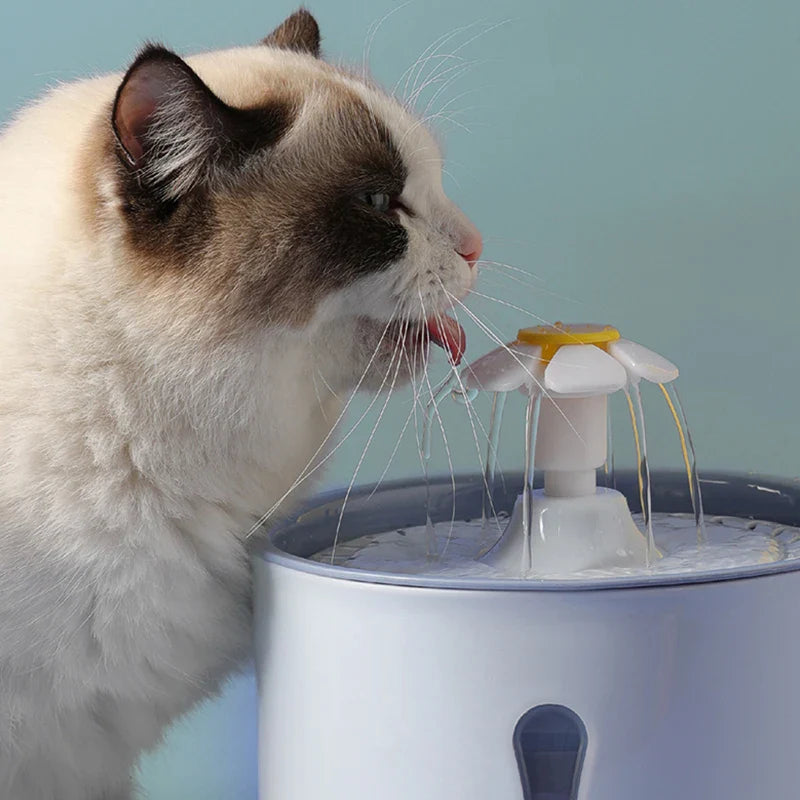 2.4L Cat Water Dispenser | LED Light & Smart Filtration